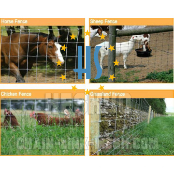 Hot-DIP galvanisierte 8ft Feld-Zaun für Farm &amp; Animals